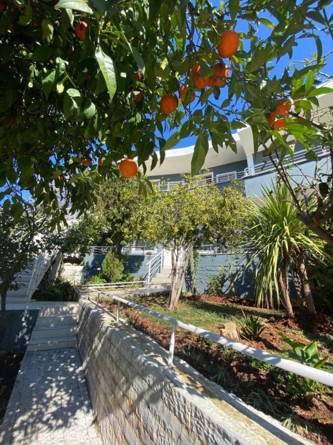 Nonna'S Boutique Hotel Dhërmi Dış mekan fotoğraf